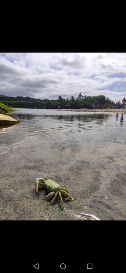 Hostal Estrellas Del Tayrona Playa Mendihuaca Guachaca Eksteriør bilde